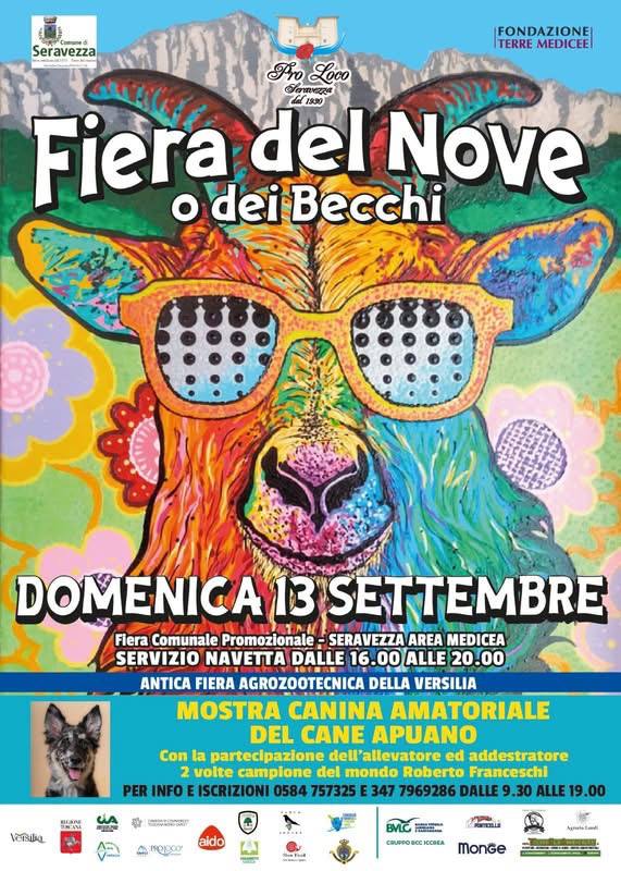 Fiera del Nove o dei Becchi