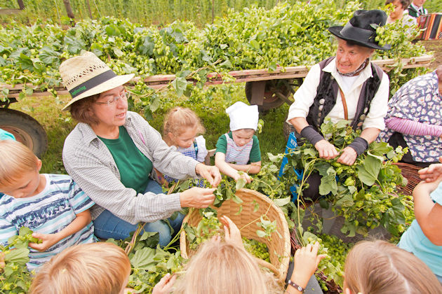 Hopfenzupferfest in Mitterstetten (Elsendorf)