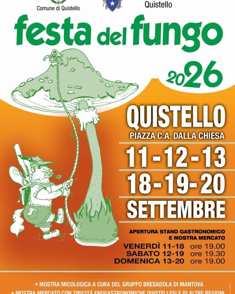 Festa del fungo